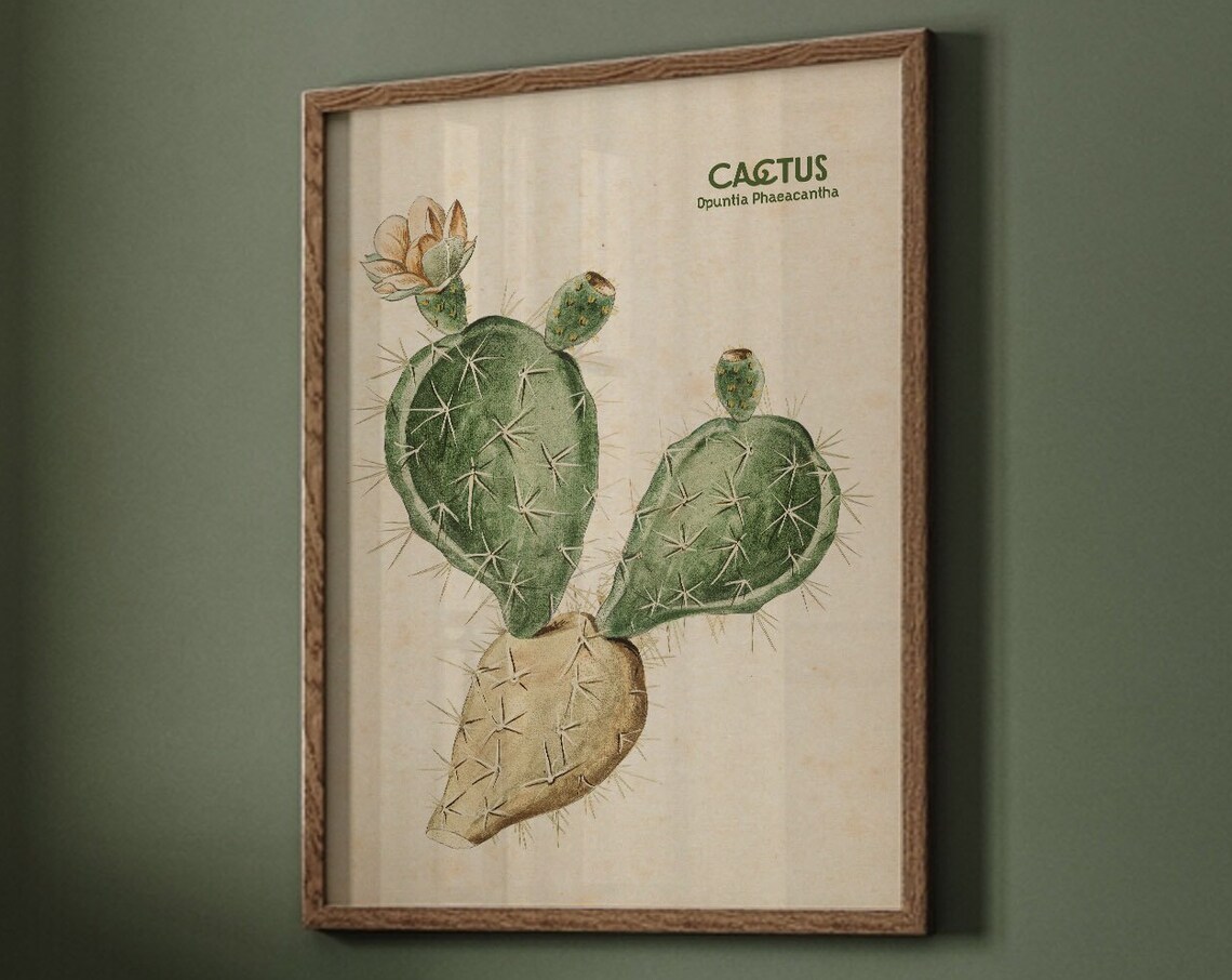 Vintage Cactus Floral Art Print, Botanical Decor