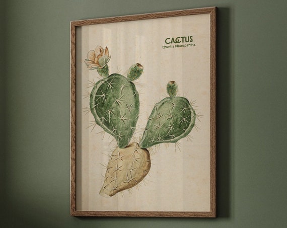 Vintage Cactus Floral Art Print, Botanical Decor