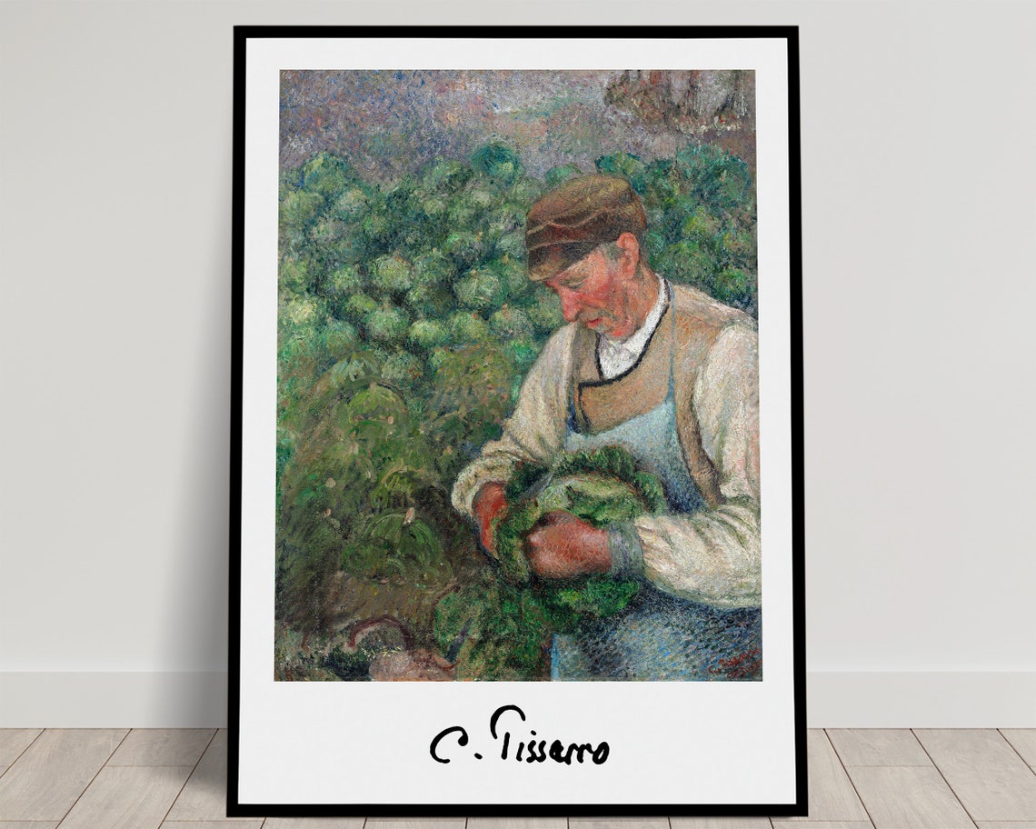 Camille Pissarro The Gardener Old Peasant With Cabbage Poster