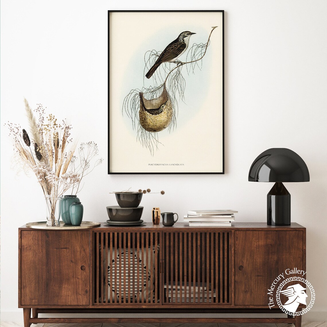 Vintage Lanceolate Honeyeater Woven Nest Antique Bird Art Print - Image 2