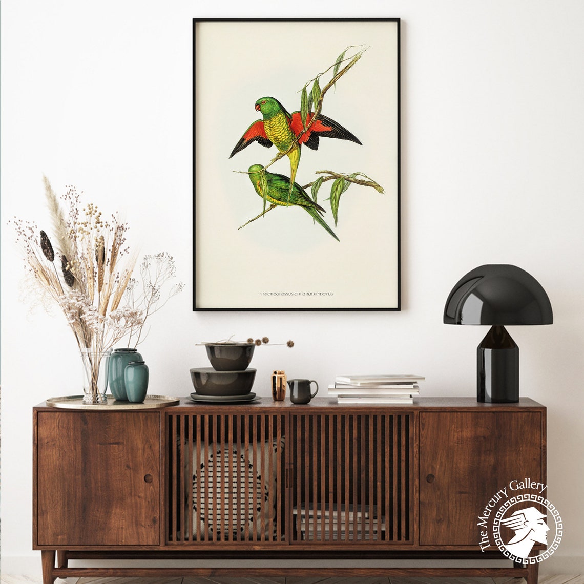 Scaly Breasted Lorikeet Vintage Australian Bird Illustration Print - Image 5