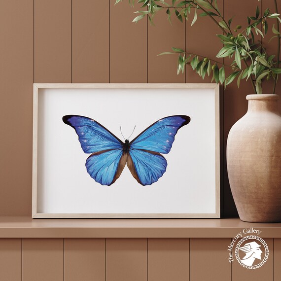 Blue Butterfly Antique Butterfly Nursery Decor Art Print