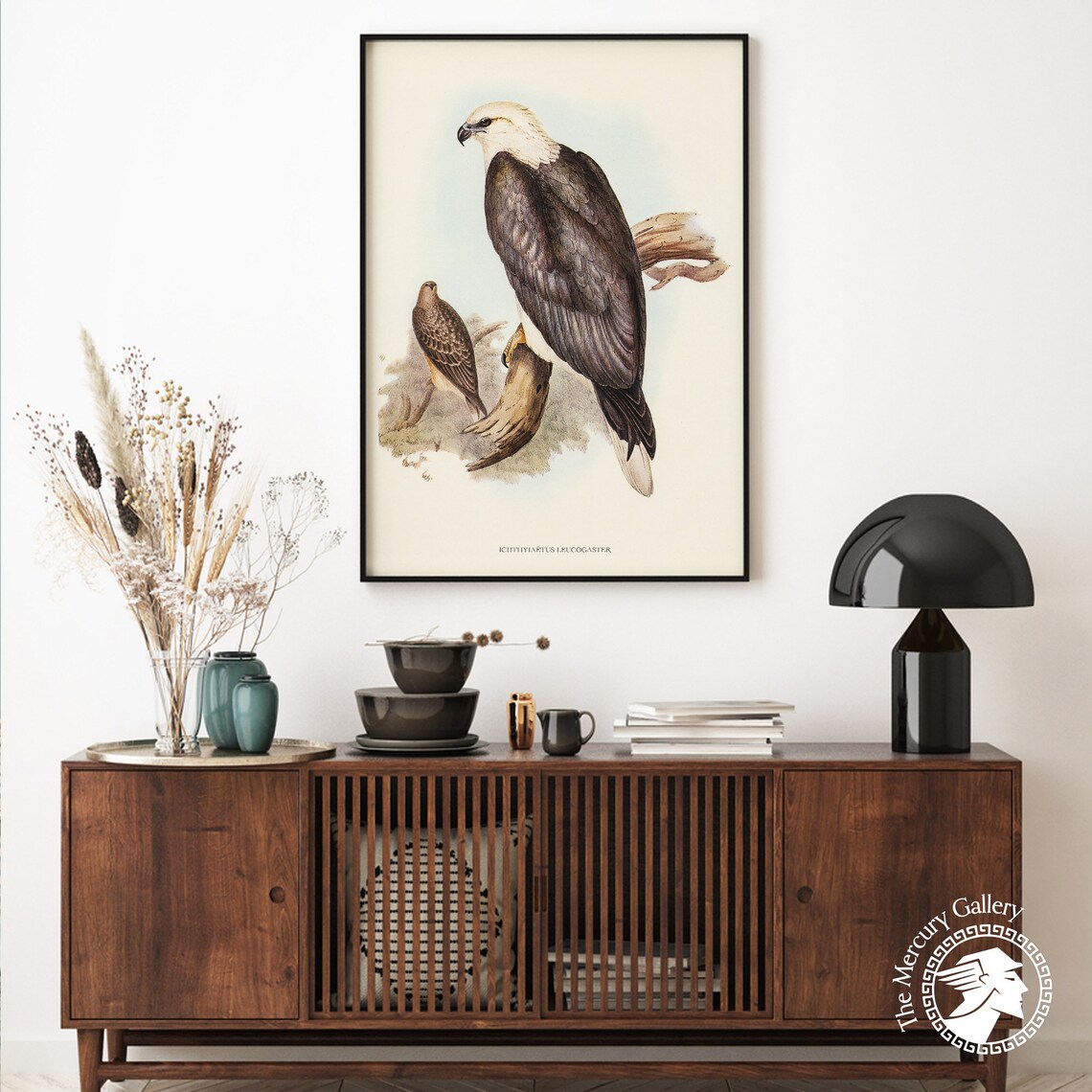 Vintage White-Bellied Sea Eagle Pair Antique Bird Of Prey Art Print - Image 6