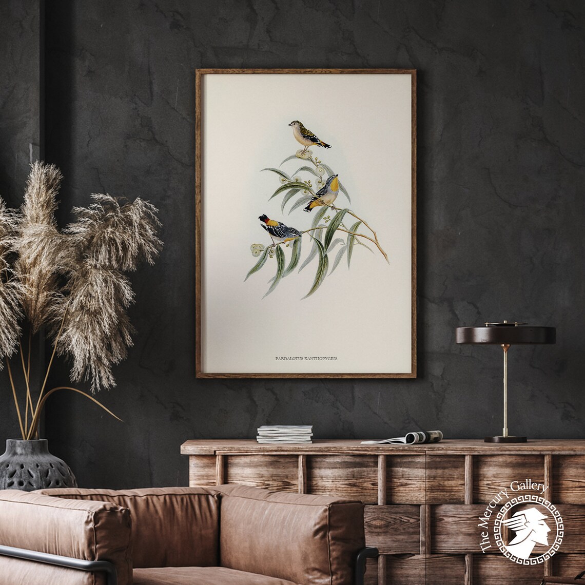Yellow Rumped Pardalote Vintage Australian Bird Illustration Print - Image 2