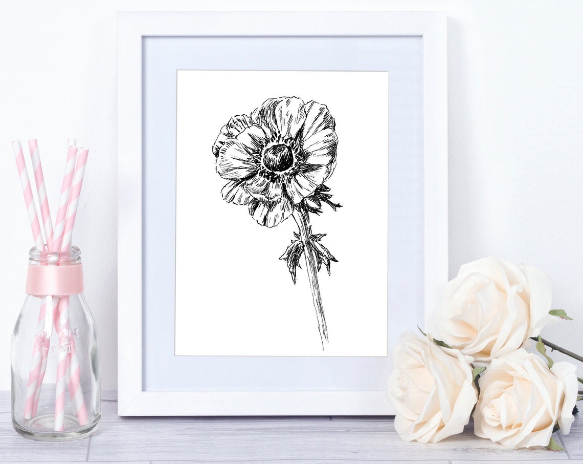 Single Anemone Black And White Botanical Ink Sketch Wall Art