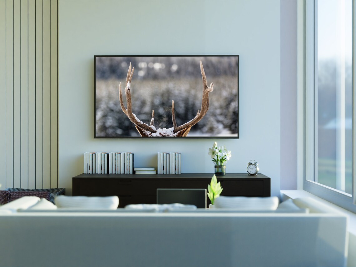 Snow Covered Elk Antlers Close Up Frosty Winter Wildlife Detail Poster - Image 3