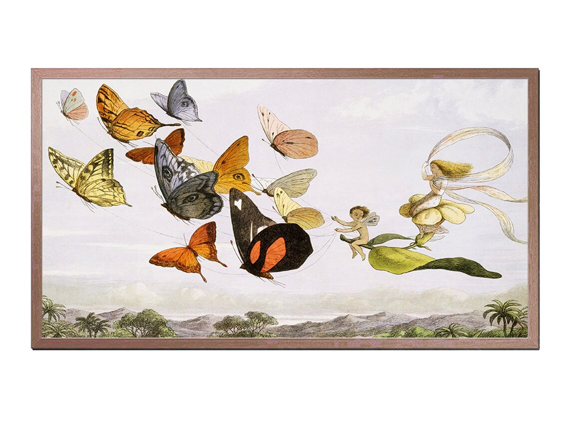 Vintage Butterflies Drawing Art Print, Nature Study