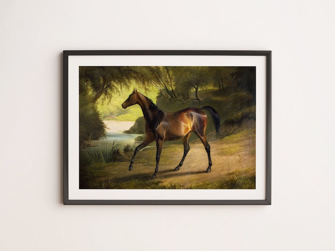 Bay Horse Standing In Sunlit Woodland Vintage Equestrian Art Poster - Image 4