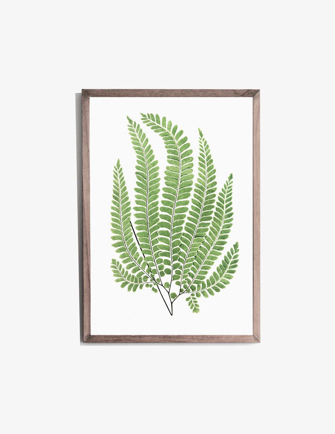 Green Fern Fronds Watercolor Botanical Illustration Art Print - Image 3