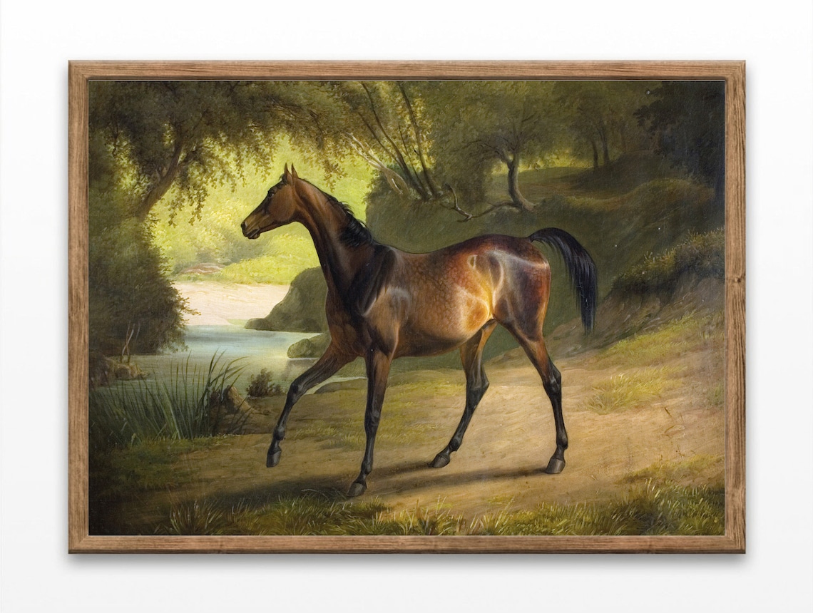 Bay Horse Standing In Sunlit Woodland Vintage Equestrian Art Poster