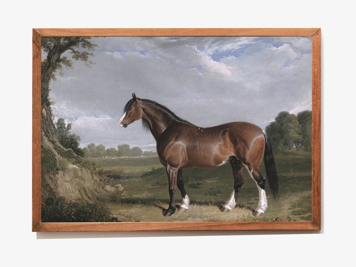 Bay Horse Standing Alone In Open Meadow Vintage Equestrian Art Poster - Image 3