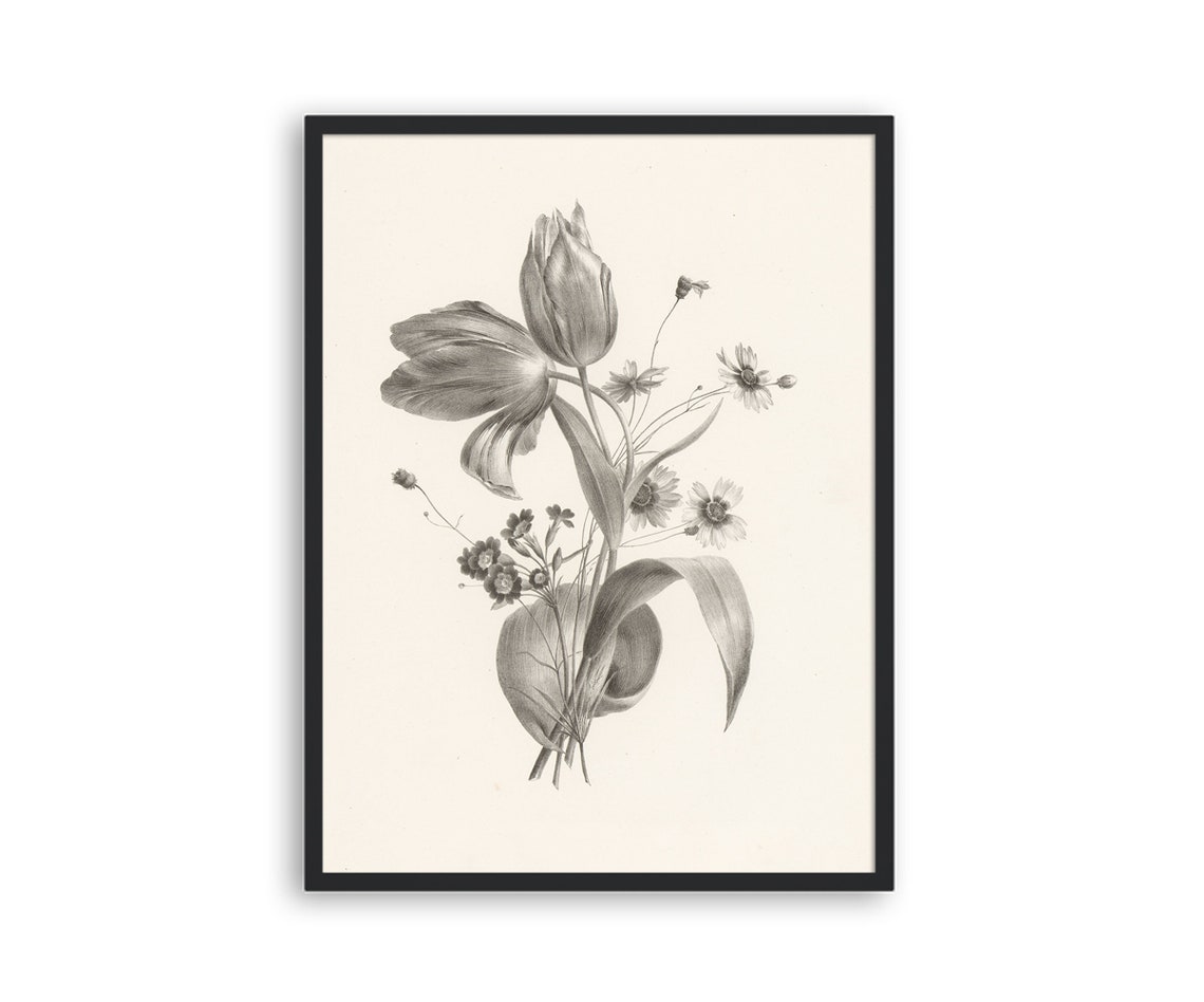 Tulip Daisy Blossoms Vintage Botanical Engraving Wall Art Print - Image 3