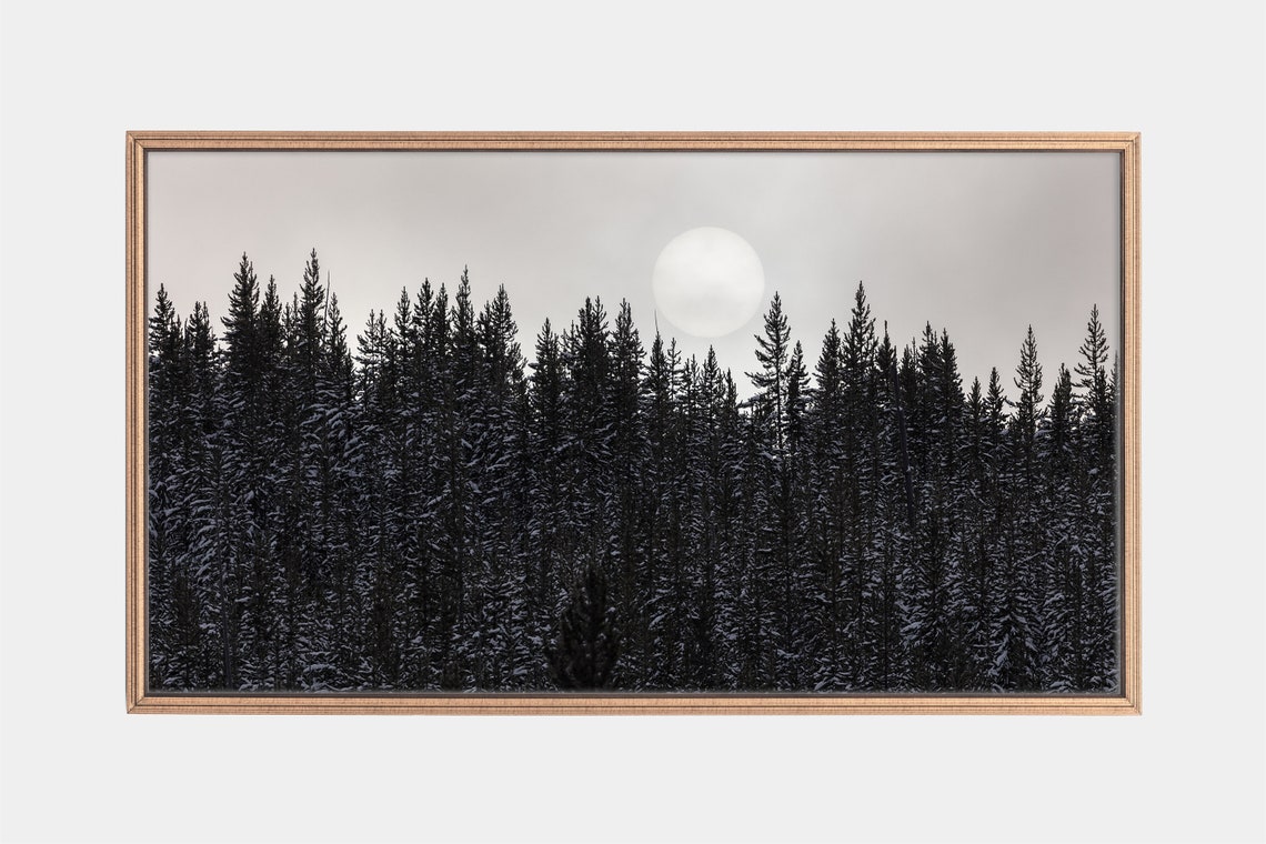 Foggy Sun Over Snowy Pine Forest Winter Landscape Photo Poster