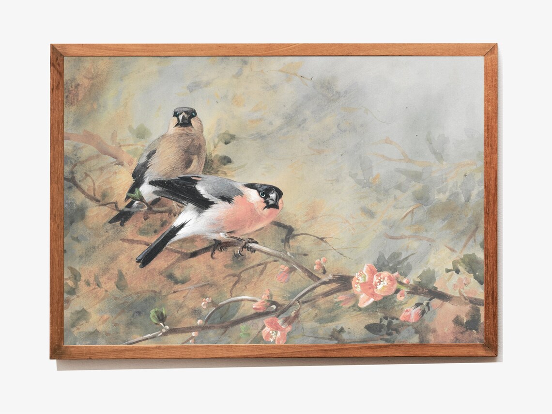 Eurasian Bullfinch Pair Watercolor Blossom Branch Bird Art Print - Image 2