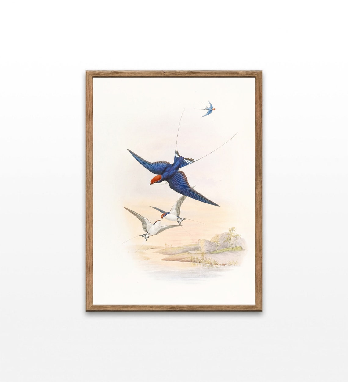Swallows in Flight Vintage Bird Illustration Over Water Wall Art