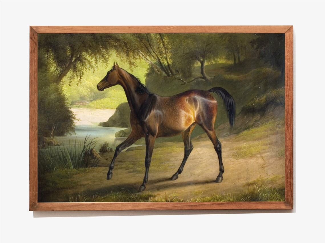 Bay Horse Standing In Sunlit Woodland Vintage Equestrian Art Poster - Image 3