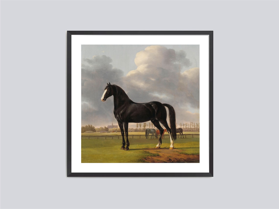 Vintage Horses Portrait Paintings Art Print - Image 3