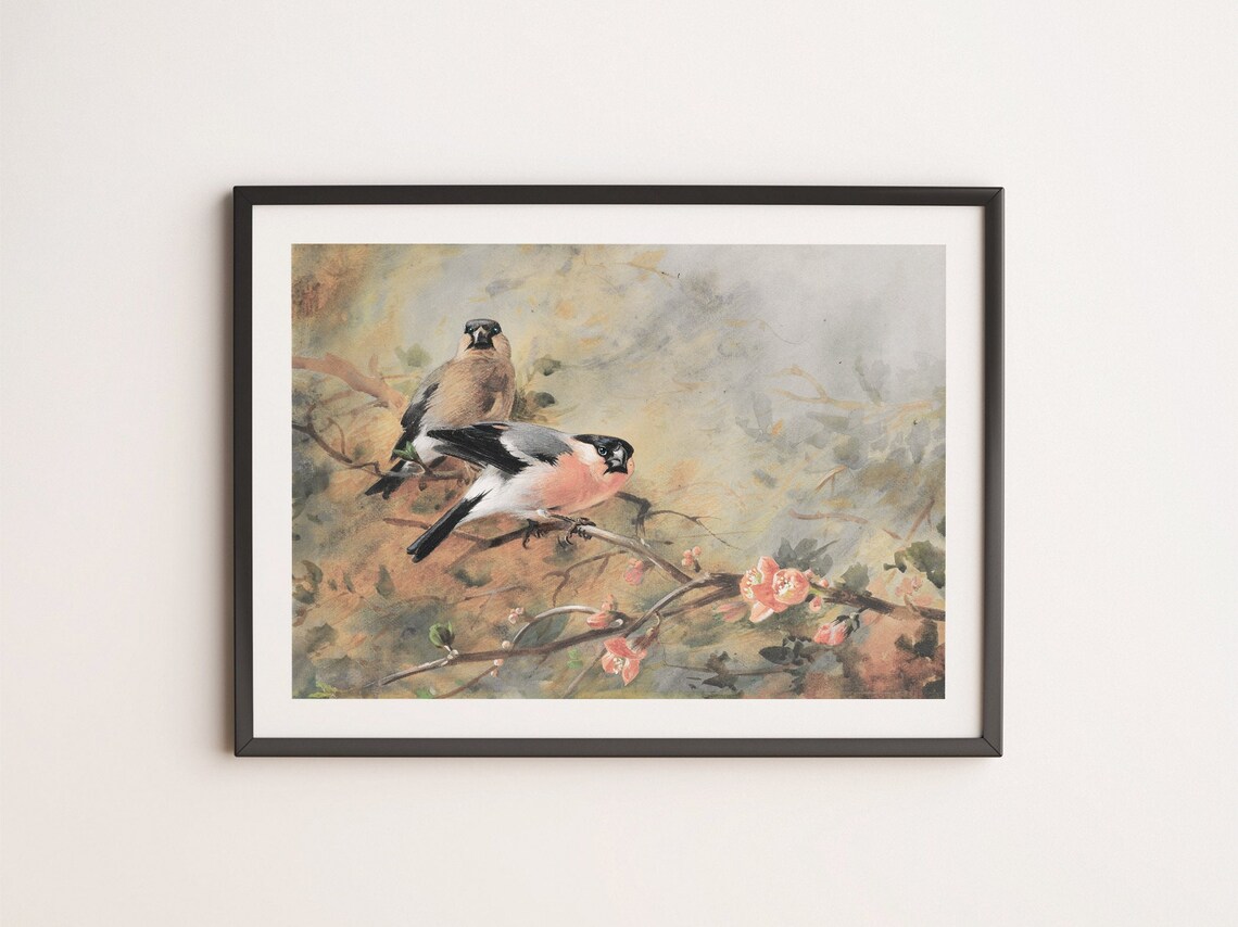 Eurasian Bullfinch Pair Watercolor Blossom Branch Bird Art Print - Image 3