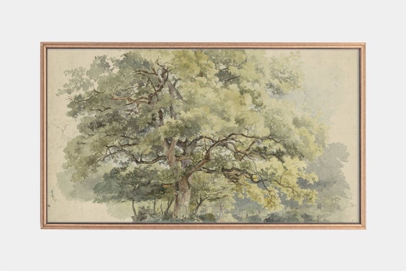 Frame Tv Art Tree Landscape Paintings Watercolor Tree Drawing Vintage Artworks Tv Art Instant