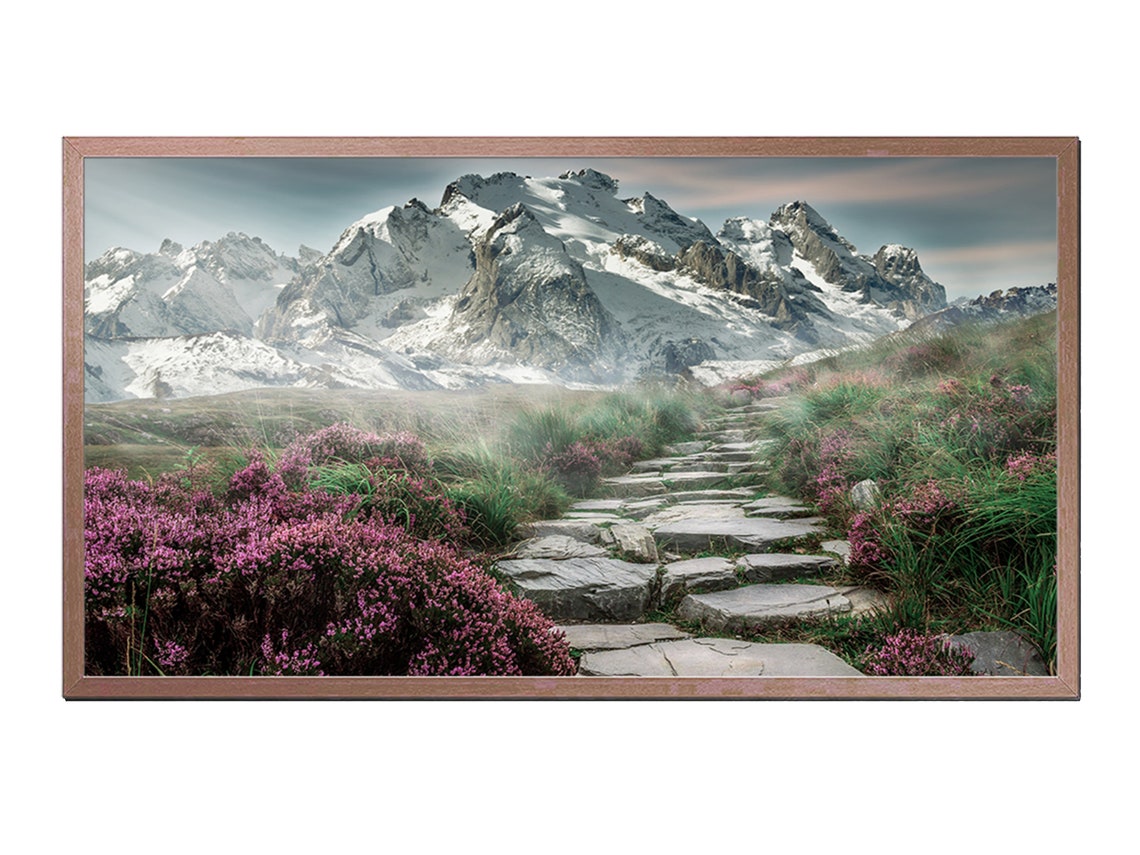 Stone Path Through Heather Snowy Mountain Peaks Landscape Photo Poster
