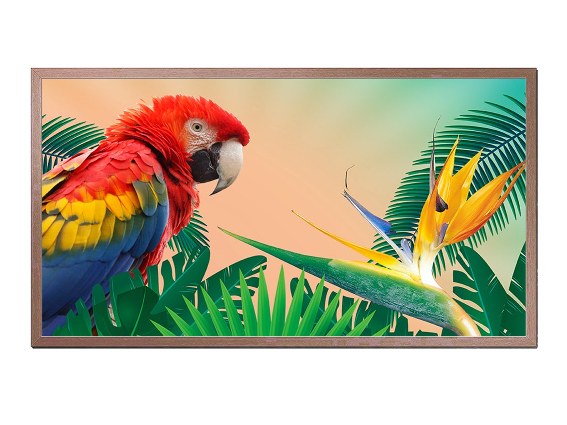 Scarlet Macaw Parrot Tropical Palm Bird of Paradise Wall Art