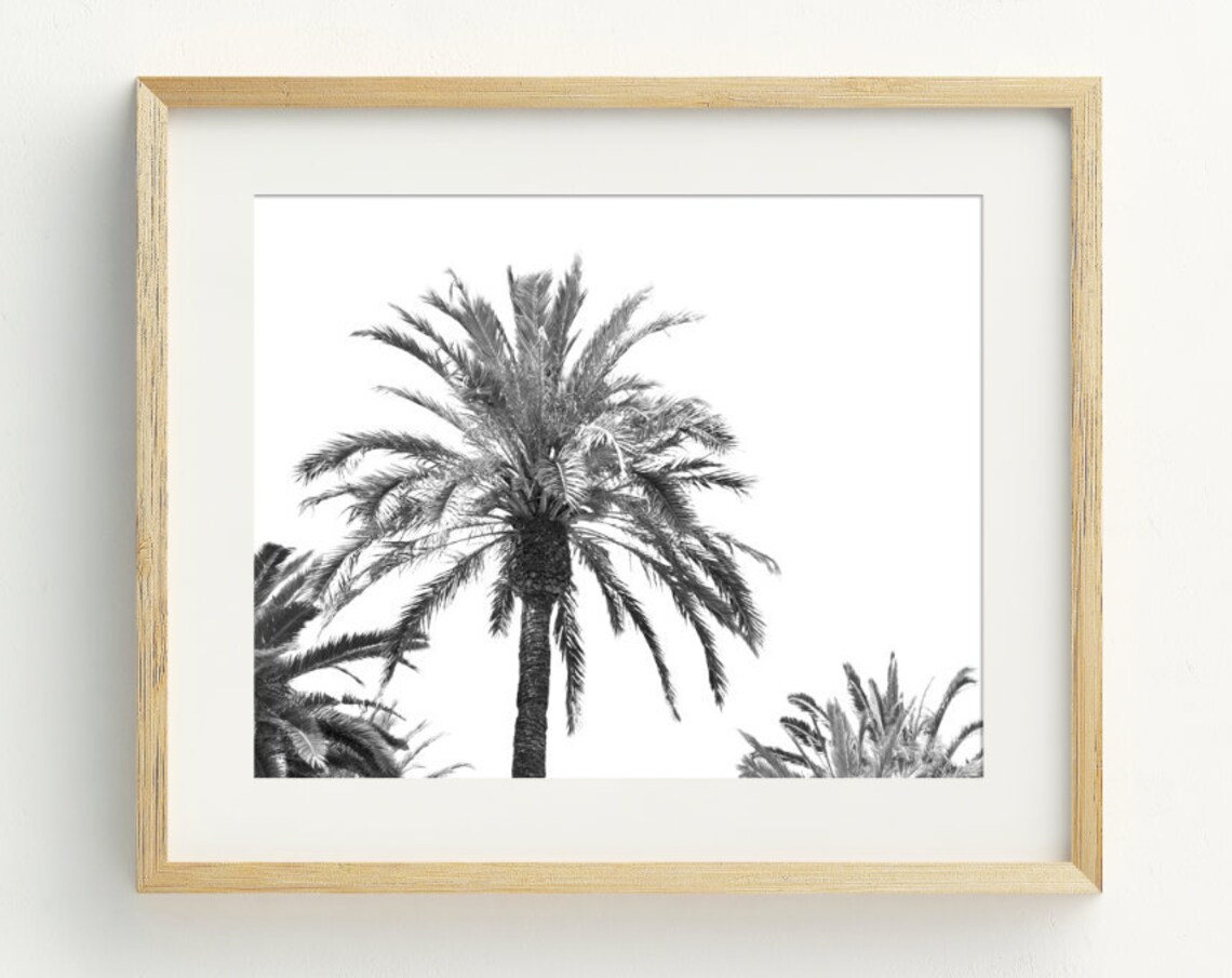 Palm Tree Art Print, Black and White Coastal Decor