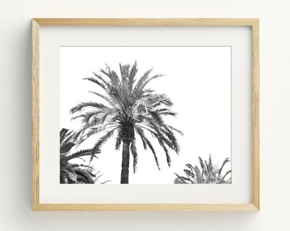 Palm Tree Art Print, Black and White Coastal Decor