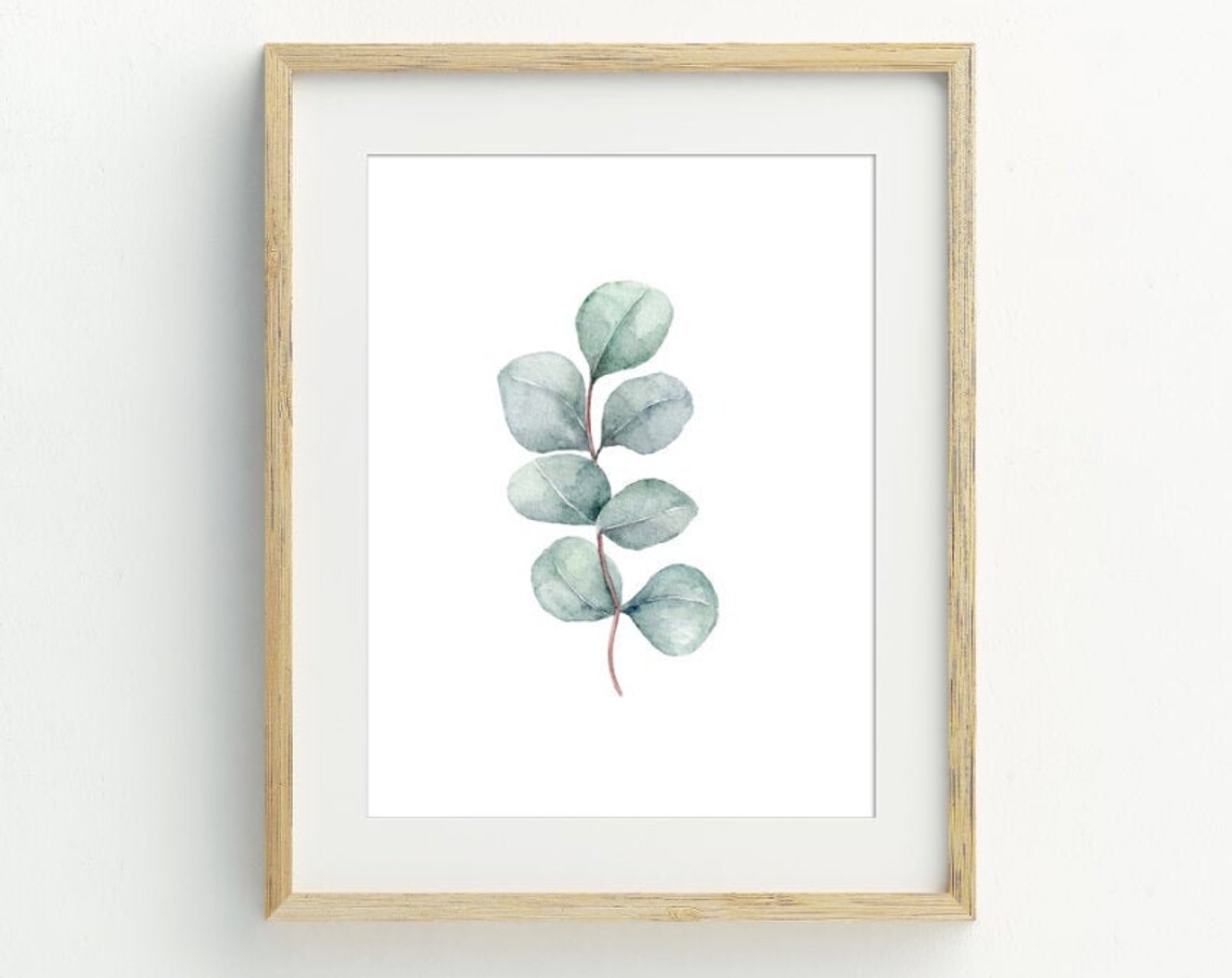 Watercolor Eucalyptus Leaf Minimalist Botanical Art Print