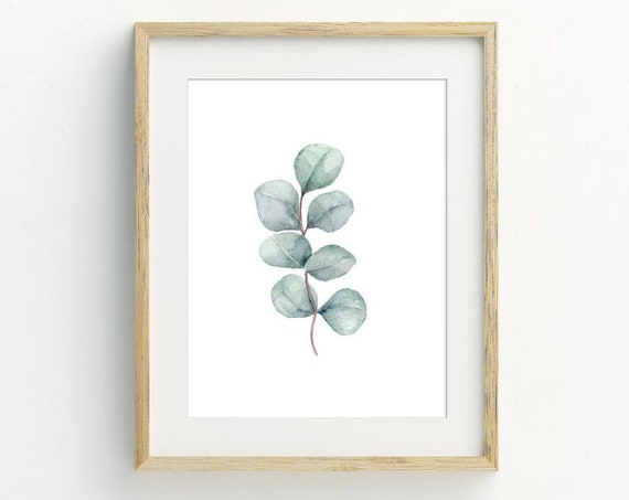Watercolor Eucalyptus Leaf Minimalist Botanical Art Print