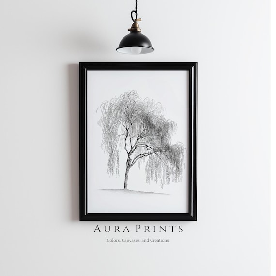 Weeping Willow Tree Pencil Sketch Minimalist Botanical Poster