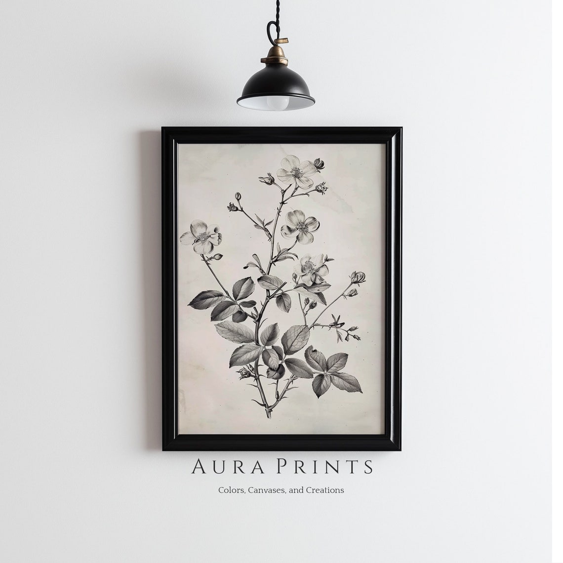 Vintage Wild Rose Botanical Illustration Black White Floral Poster