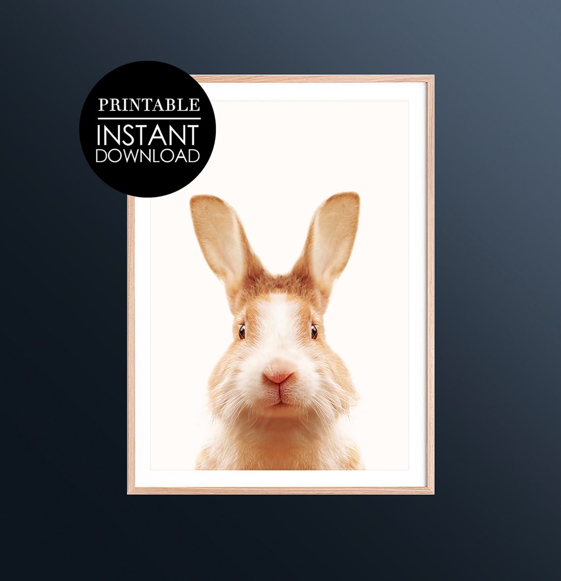 Cute Bunny Face Front Portrait White Background Nursery Art Poster