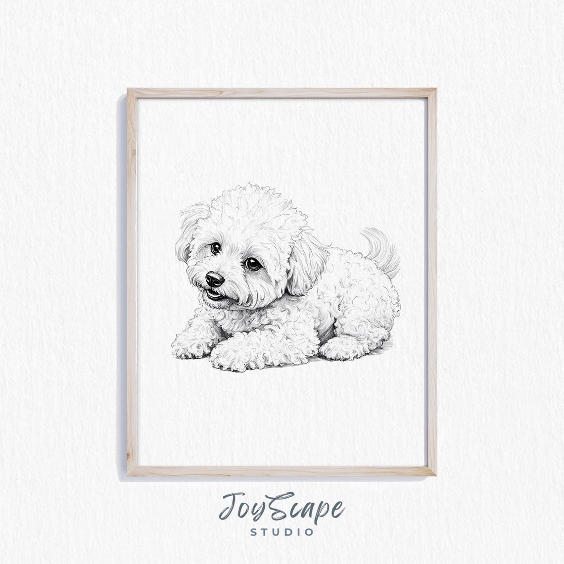 Bichon Frise Puppy Sketch Black And White Curly Dog Portrait Poster