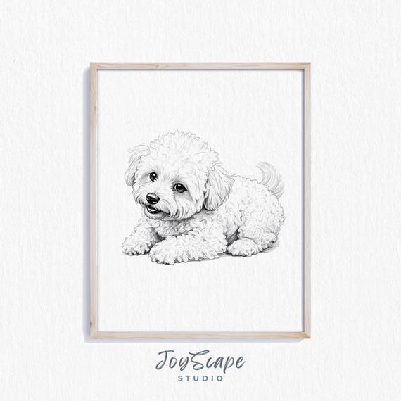 Bichon Frise Illustration Vintage Dog Sketch Art Rustic Nursery Pet Decor Cute Canine Wall For