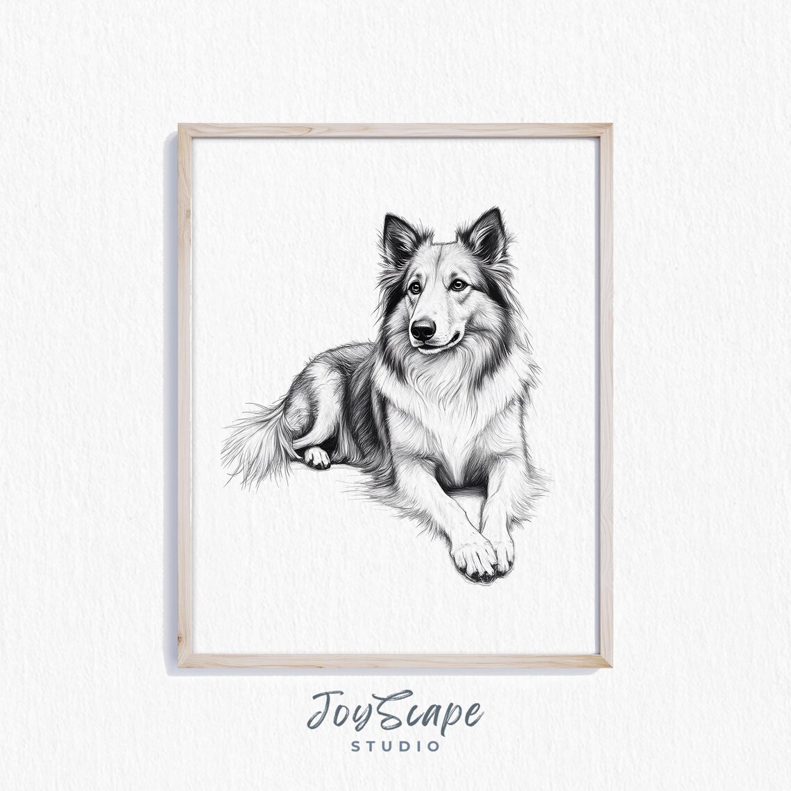 Collie Dog Sketch Black And White Farmhouse Pet Portrait Poster
