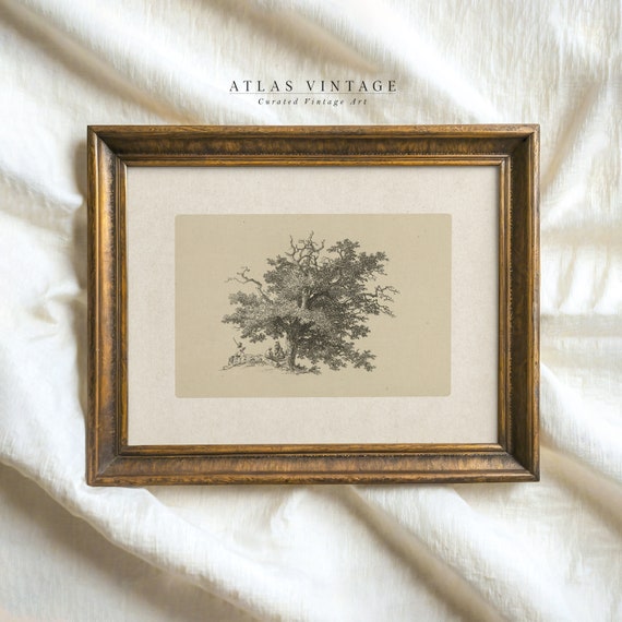 Whimsical Woodland Scene Vintage Tree Art Print Forest Landscape Drawing Tree Sketch Wall Art Farmhouse Decor