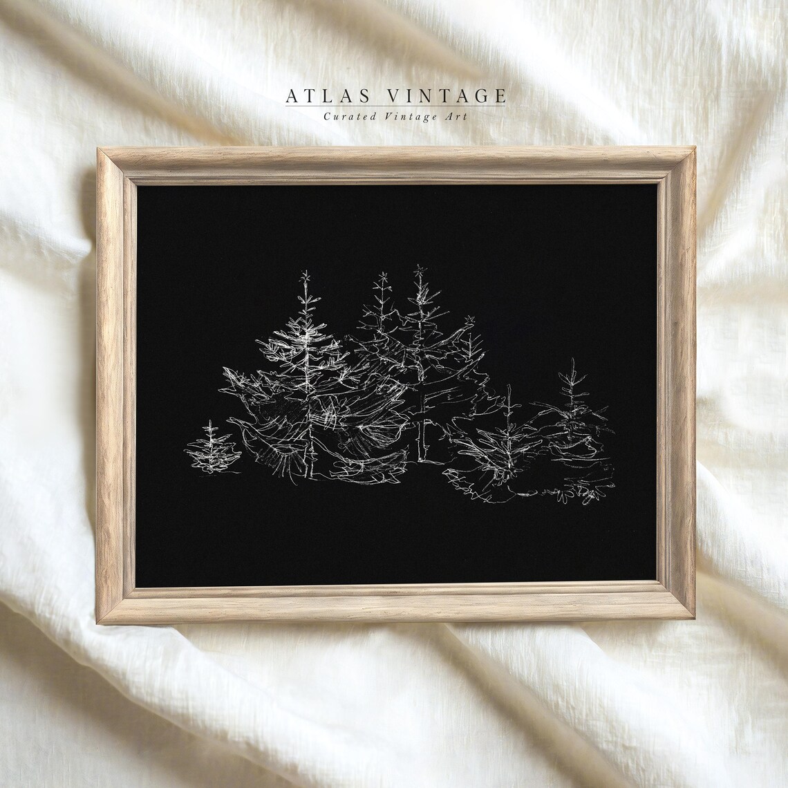 White Pine Trees Line Drawing on Black Minimalist Forest Poster - Image 6