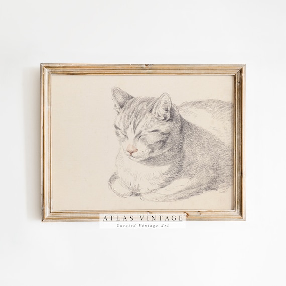 Sleeping Grey Tabby Cat Vintage Pencil Sketch Portrait Art Poster