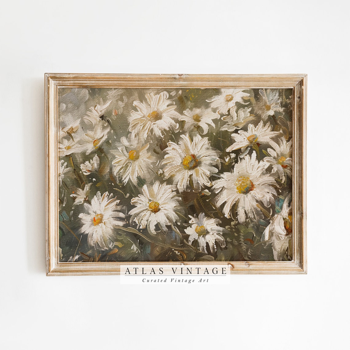 White Daisy Blooms Impressionist Oil Painting Garden Flower Poster
