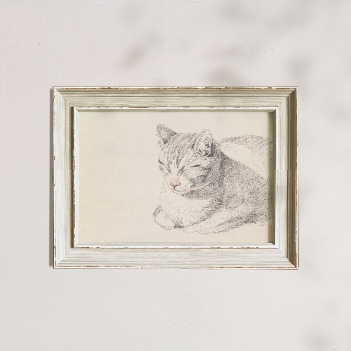 Sleeping Grey Tabby Cat Vintage Pencil Sketch Portrait Art Poster - Image 7