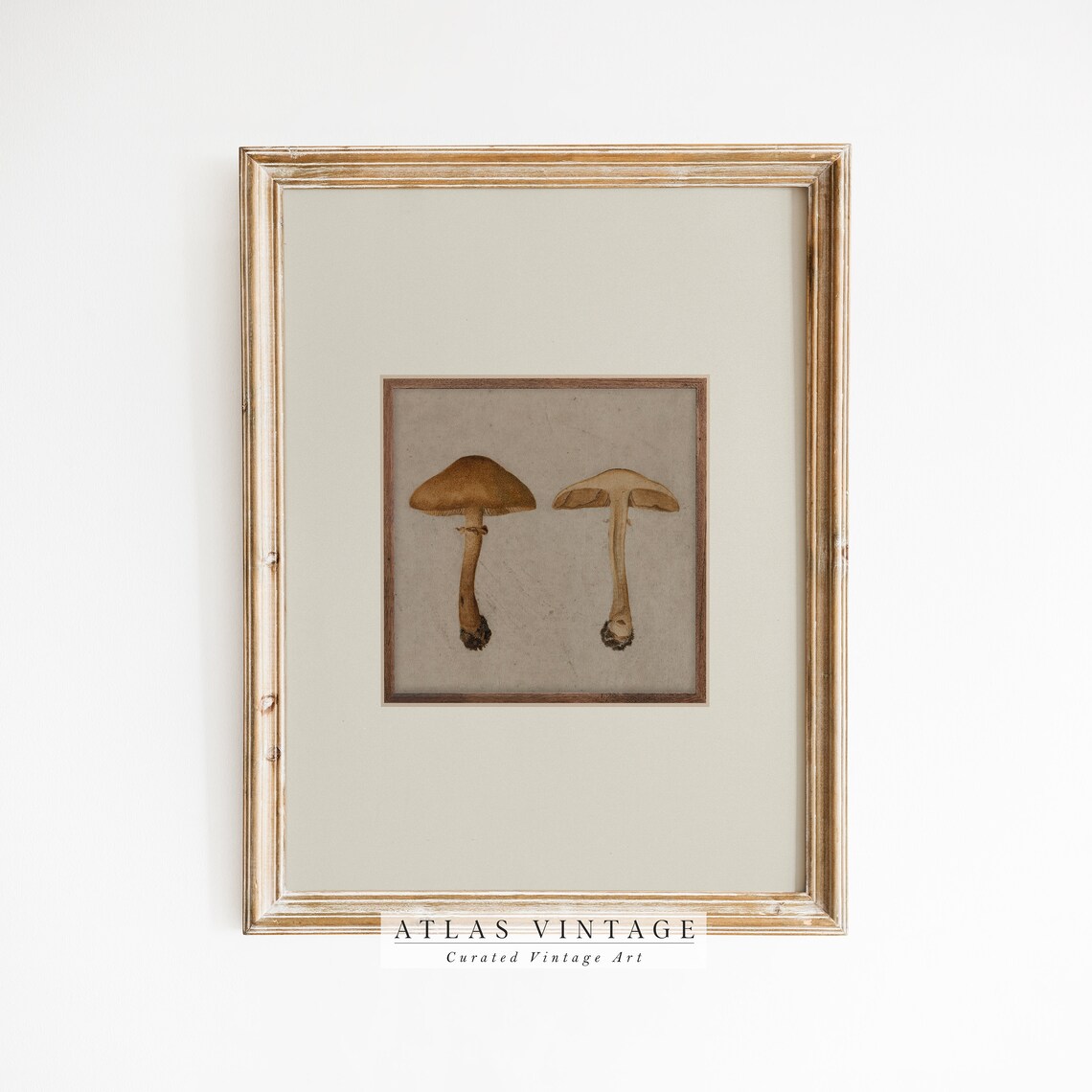 Vintage Mushroom Botanical Study Antique Fall Fungi Pair Naturalist Poster