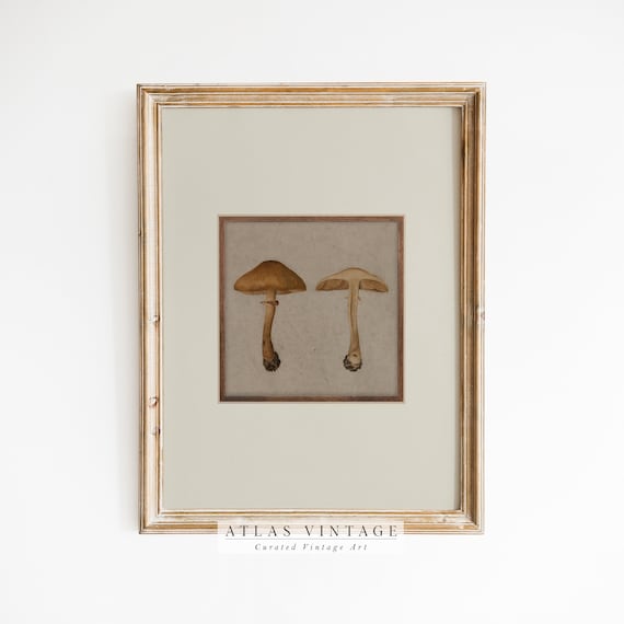 Vintage Mushroom Botanical Study Antique Fall Fungi Pair Naturalist Poster