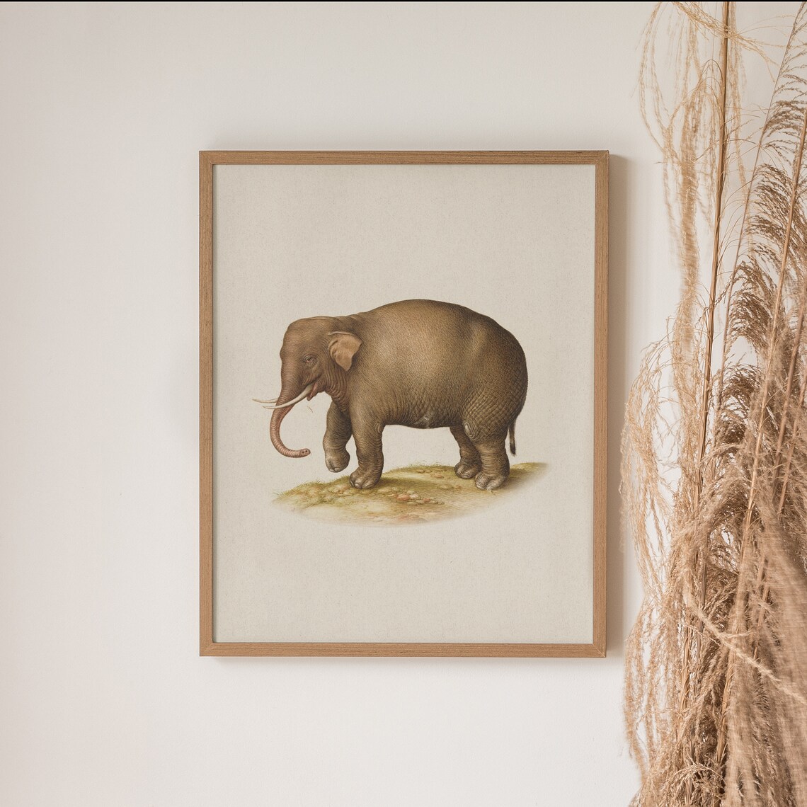 Antique Elephant Illustration Vintage Safari Animal Drawing Poster - Image 4