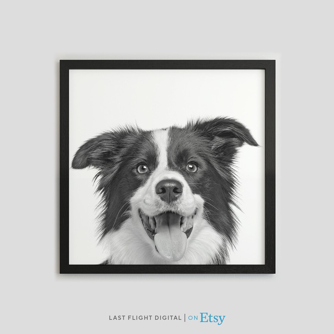 Border Collie Dog Poster, Kids Room Wall Art Print