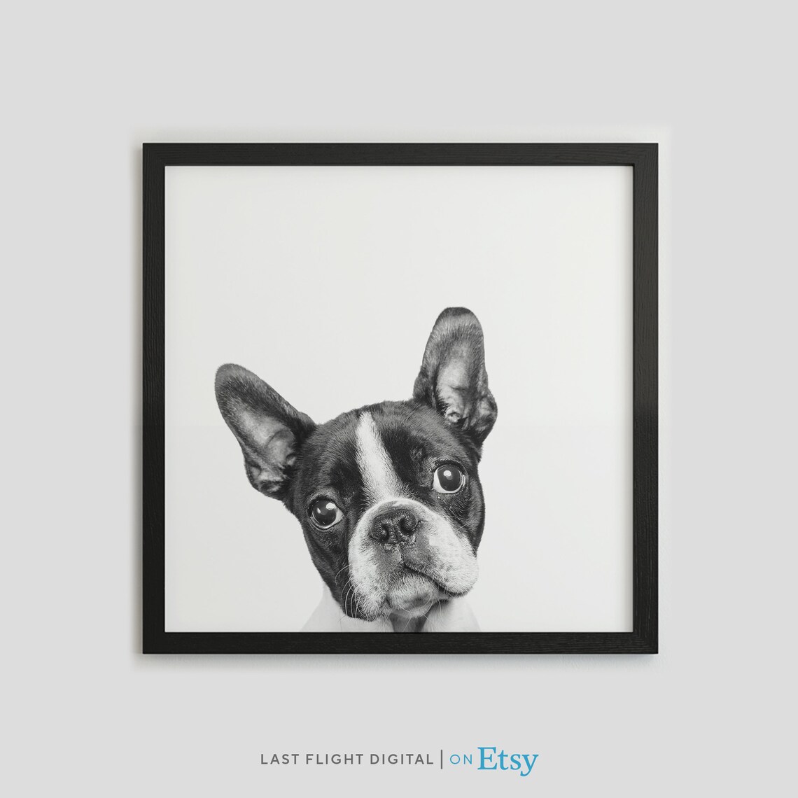 Boxer Puppy Dog Poster, Kids Room Nursery Decor