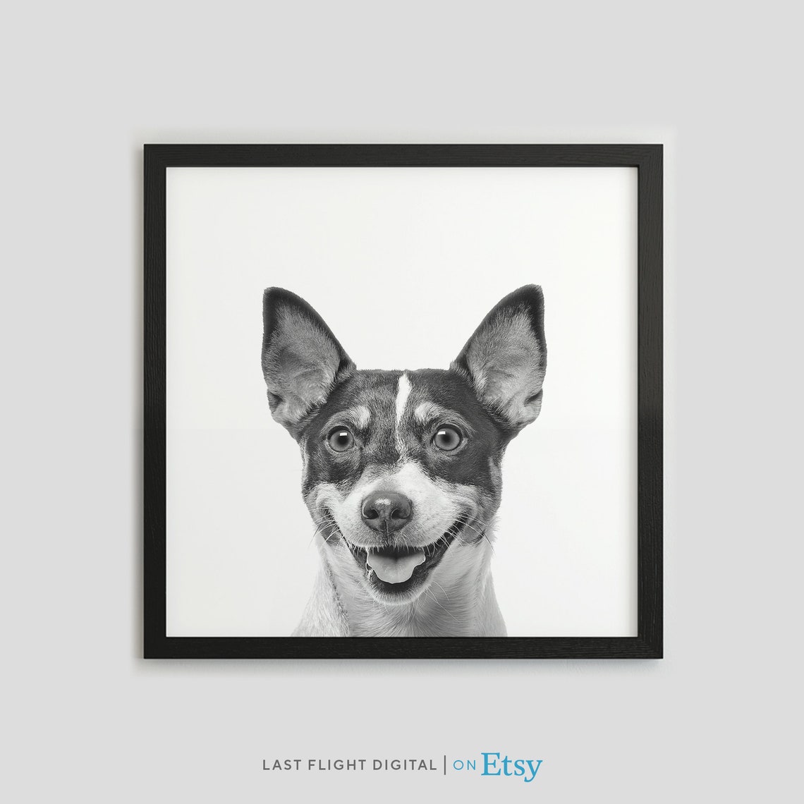 Jack Russell Terrier Black White Smiling Puppy Portrait Poster