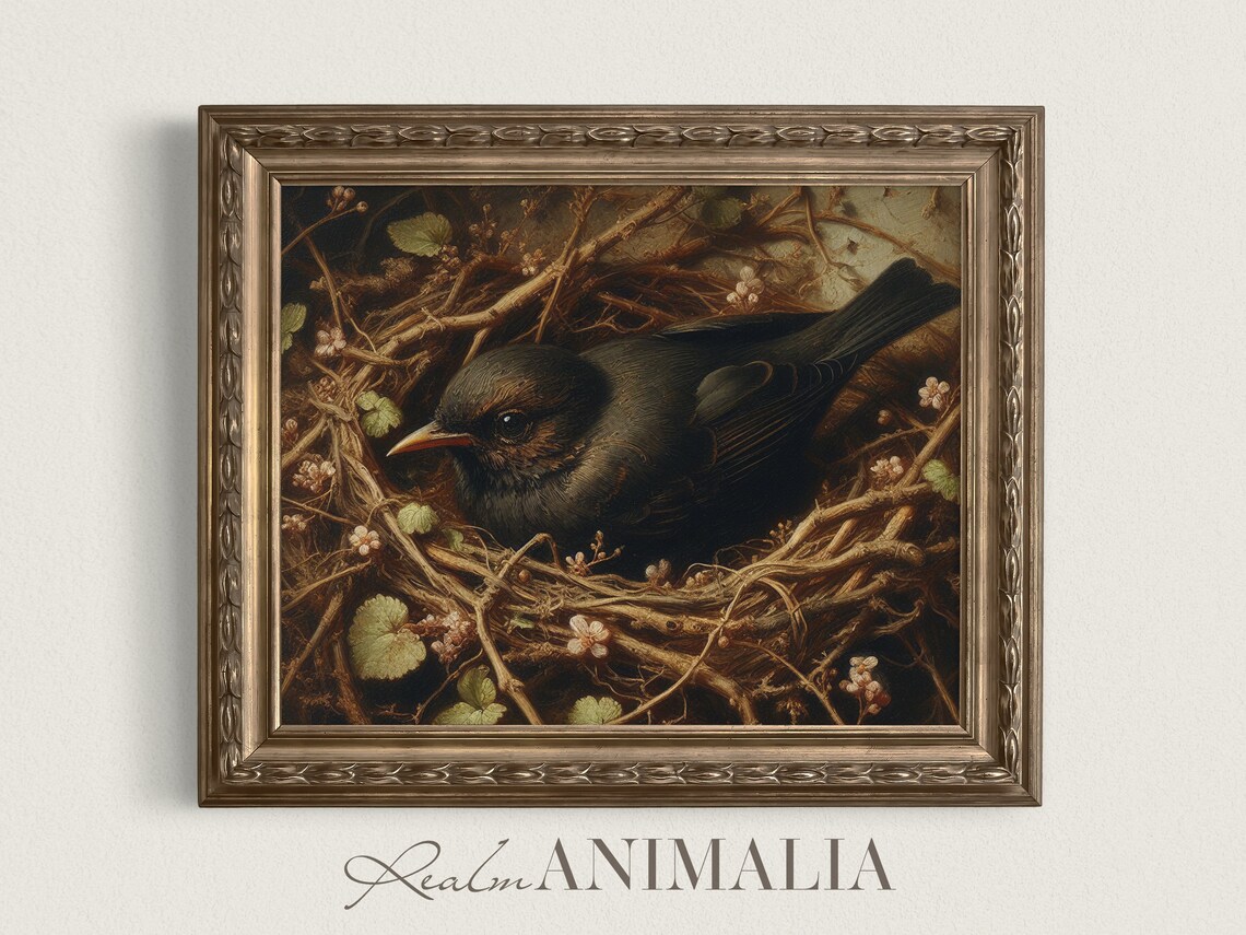 Vintage Blackbird In Nest Painting, Bird Art Print