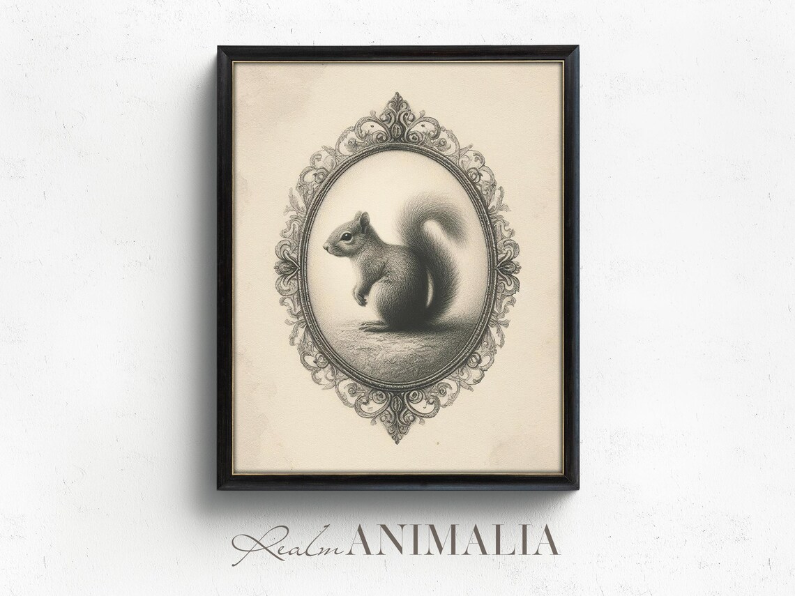 Vintage Squirrel Sketch In Ornate Oval Frame Monochrome Art Poster - Image 2