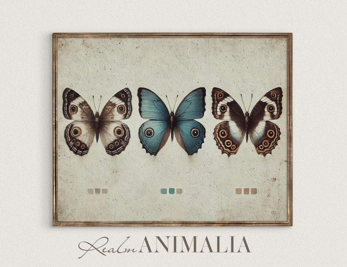 Three Butterflies Specimen Chart Vintage Insect Study Poster