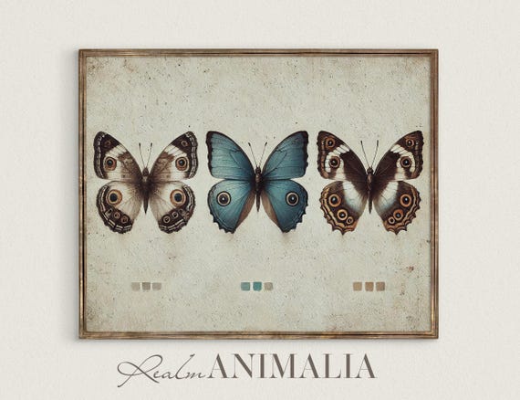 Vintage Butterflies Art Print Insect Color Chart Illustration Neutral Butterfly Art Drawing Cottagecore Nature Wall Art Sg115